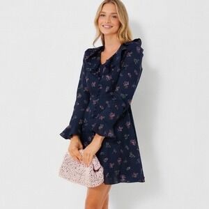 Hyacinth House Navy Floral Ruffle Neck Nora Mini Dress Embroidered‎ Small